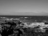 Filename : Fort Bragg California.jpg
Filesize : 30KB
Dimensions : 640x480
Date added : Sep 21, 2005 Fort Bragg California.jpg