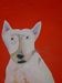 Filename : bull dog 001.jpg
Filesize : 716KB
Dimensions : 1224x1632
Date added : Aug 27, 2005 bull dog 001.jpg