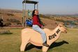 Filename : mikirider.JPG
Filesize : 83KB
Dimensions : 448x299
Date added : Jul 16, 2007 mikirider.JPG