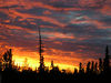 Filename : aksunset.jpg
Filesize : 157KB
Dimensions : 500x374
Date added : Jun 14, 2008 aksunset.jpg