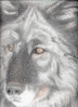 Filename : wolfdrawing.gif
Filesize : 118KB
Dimensions : 376x517
Date added : Nov 30, 2004 wolfdrawing.gif