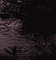 melswebs, lesbian site, links, poetry, art, stories